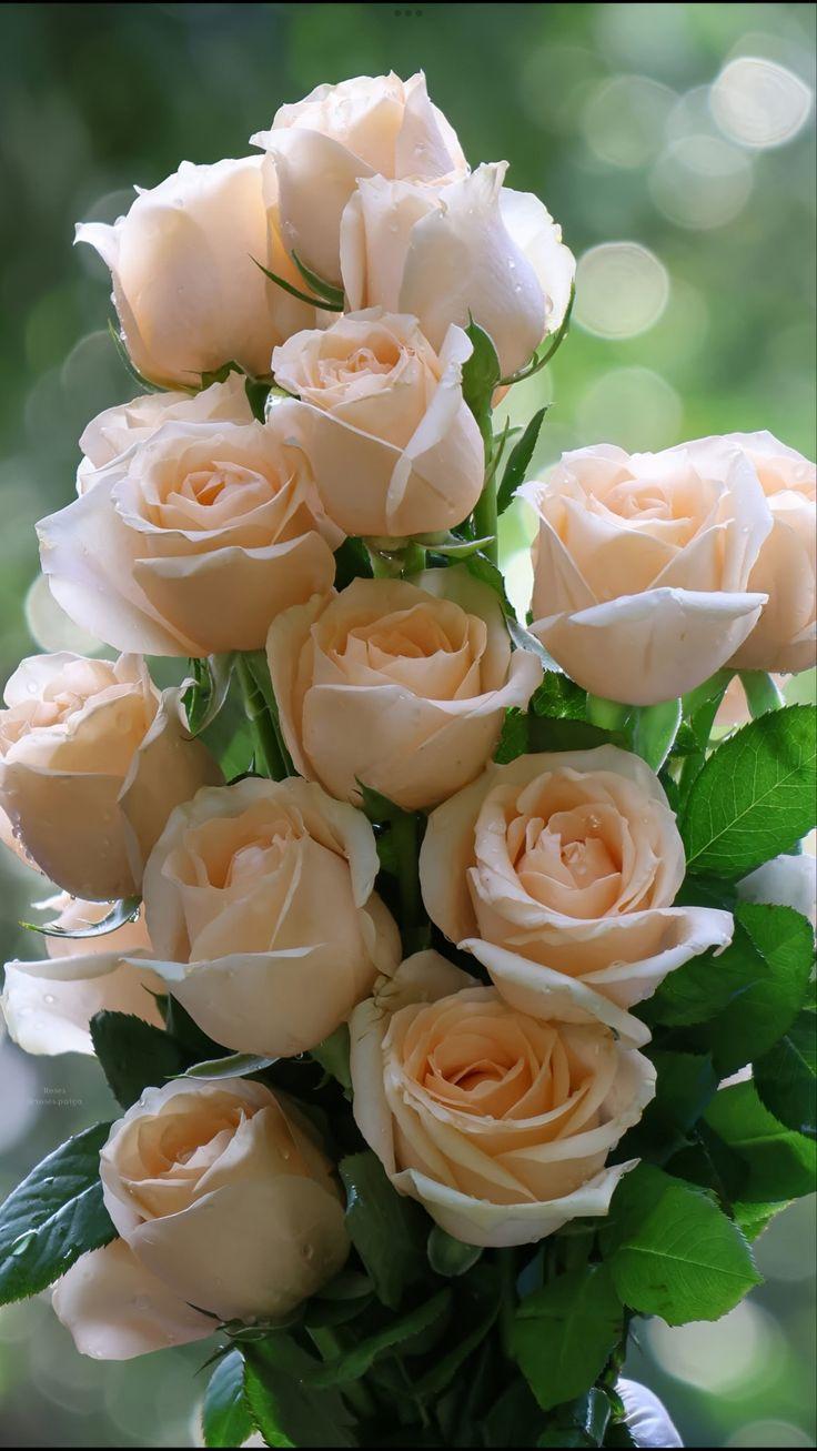 Corporate floral consultation example